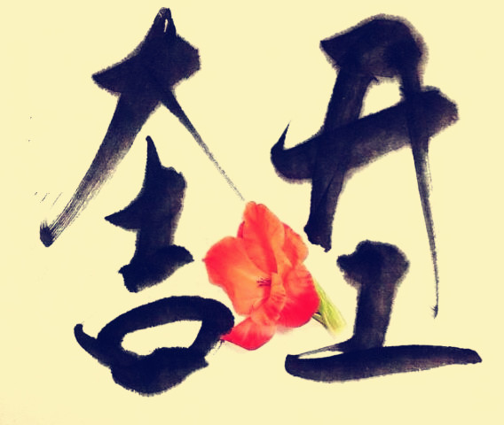 駿業(yè)包裝開(kāi)工大吉！